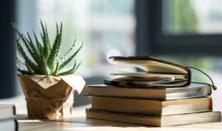 芦荟开花代表什么寓意在民间（芦荟开花代表什么寓意在民间的意思）