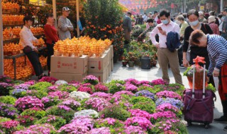 世界上花语最恐怖的花（世界上花语最神秘的花）