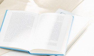 代人捉刀的意思（代人捉刀的意思是什么）