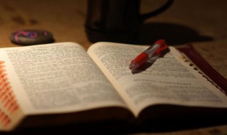 回天转地是什么意思（回天转日是什么意思）