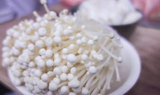 小米和金针菇能一起吃吗 金针菇和小米饭能一起吃吗