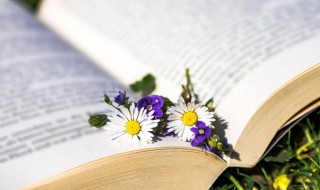 大学都有什么专业 大学都有什么专业适合男生