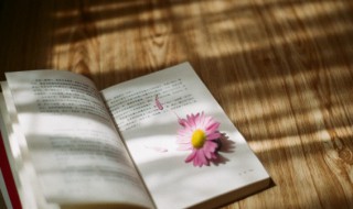 淤怎么读(淤怎么读音正确)