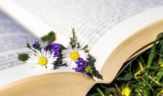 富轹万古是什么意思 一生富万千是什么意思