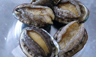 做鲍鱼的简单方法 做鲍鱼的简单方法四川大锅菜的做法