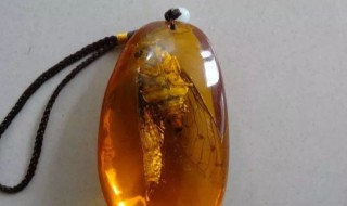 琥珀都具有哪些神奇功效? 琥珀都具有哪些神奇功效和作用