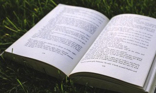 超俗绝世是什么意思 超尘绝俗的意思是什么