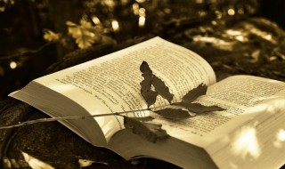 长虑顾后的意思 长虑顾什么