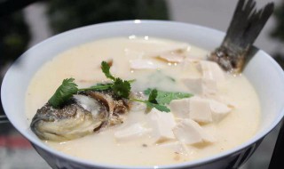 鲫鱼豆腐汤的简单做法 豆腐鲫鱼汤的做法大全