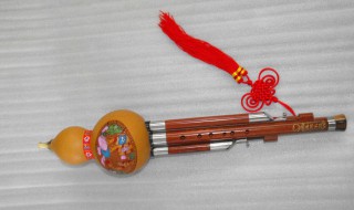 怎么买葫芦丝（怎么买葫芦丝教程）