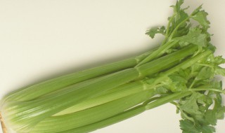 西芹是什么（西芹是什么季节的蔬菜）