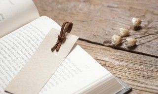 石生花和生石花的区别是什么（什么叫石生花）