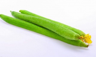 长丝瓜和短丝瓜区别是什么（长丝瓜和短丝瓜的区别）