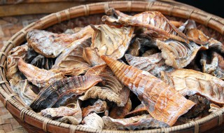 痛风能吃玉兰片吗（尿酸高的人能吃玉兰片吗）