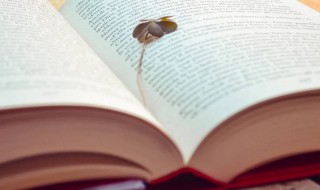 祝愿孩子茁壮成长的唯美句子 祝愿孩子茁壮成长的唯美短句