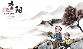 重阳节文章（关于重阳节文章）