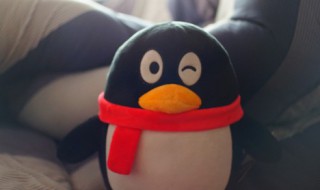 qq主题怎么设置自己的照片(qq咋样设置主题自己的照片)