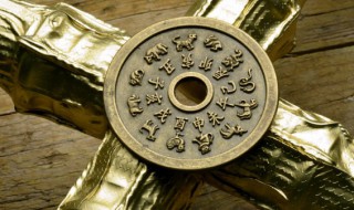 属虎人在今年的运势如何（属虎的人今年的运势）