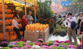 什么花的花语是回忆 什么花的花语是回忆爱情