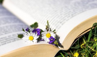 秀才不出门能知天下事是什么意思 常言道秀才不出门能知天下事