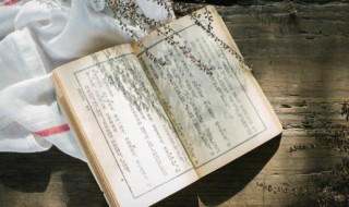 唯美诗意五人名字（唯美诗意五人名字女孩）