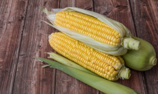 什么是玉米粉? 什么是玉米粉面条