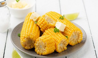 玉米属于什么类 玉米属于什么类蔬菜