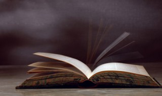 殷勤是什么意思（陋质何堪受殷勤是什么意思）