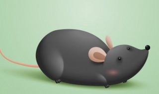 2022年哪个属相财运最好(2022年哪个属相财运最好呢)