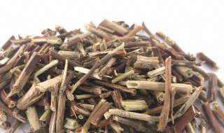 忍冬藤是什么 忍冬藤是什么科