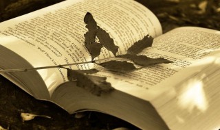 寓意简单大方的名字 通俗大方的名字