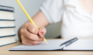 职业及收入证明怎么填 职业及收入证明怎么填图片