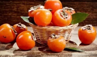 吃柿子功效与作用 柿子的功效与作用