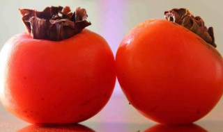 懒柿子不能和什么同食 懒柿子不能和什么同食用