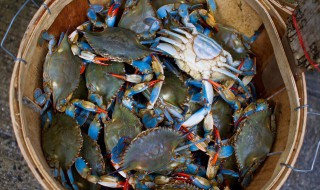 怎样做香辣蟹好吃又简单 怎么做香辣蟹好吃又简单又好吃