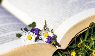 虎宝宝取名字最佳字 虎宝宝取名字最佳字女孩