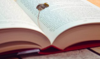 清新脱俗仙气微信名字 清新脱俗仙气微信名字英文