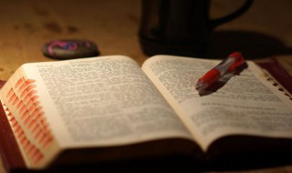 牛宝宝阳刚大气的男孩名字 牛宝宝阳刚之气的男孩名字