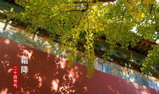 霜降节气的由来及习俗（霜降节气的了解）