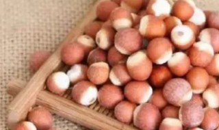 鸡头子是什么（鸡头子是什么意思）