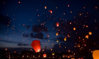 什么的夜 什么的夜鸟