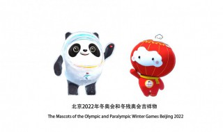 2020年冬奥会吉祥物的介绍（2020年冬奥会的吉祥物是什么）
