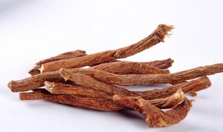 什么是丹参(什么是丹参酮)