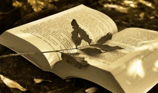 爱自己的签名说说霸气 个性签名爱自己的说说