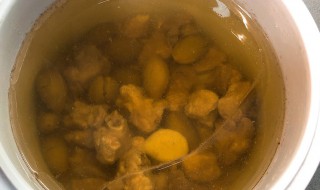 新鲜橄榄可以煲什么汤（新鲜橄榄可以煲什么汤吃）