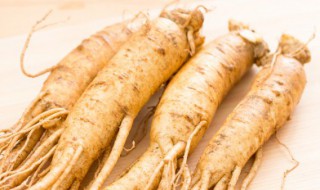 峨参的功效与作用 峨参的功效与作用,峨参的副作用