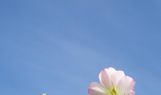 什么的蓝天填空 什么的蓝天填空三年级