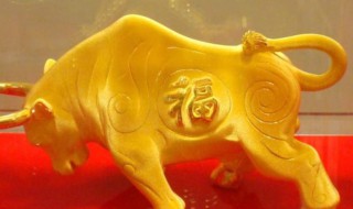 2022年各生肖运势如何（2022年的生肖运势大全）