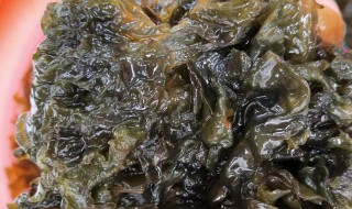 地皮菜怎么吃（地皮菜怎么吃法）