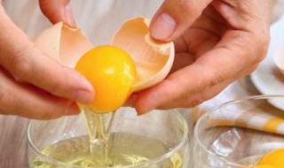 鸡蛋壳算不算厨余垃圾（鸡蛋壳算不算厨余垃圾食品）